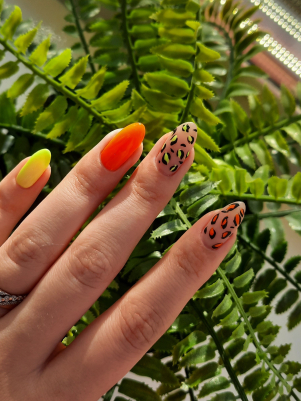 Фото из портфолио